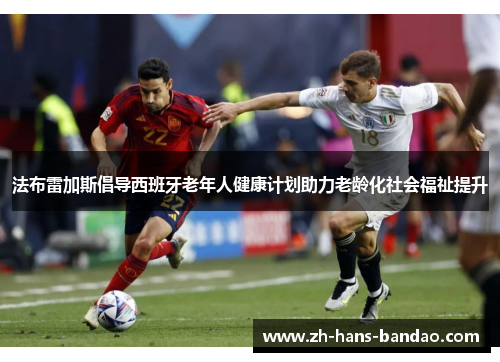 法布雷加斯倡导西班牙老年人健康计划助力老龄化社会福祉提升