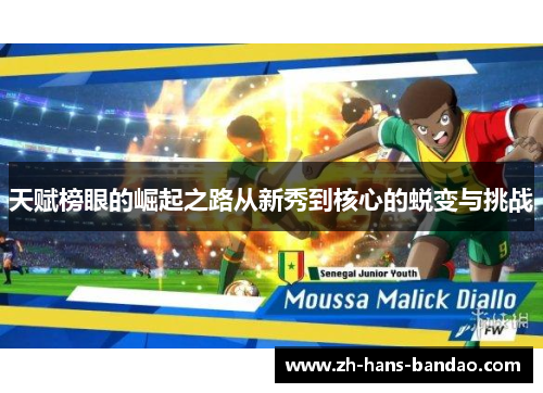 天赋榜眼的崛起之路从新秀到核心的蜕变与挑战