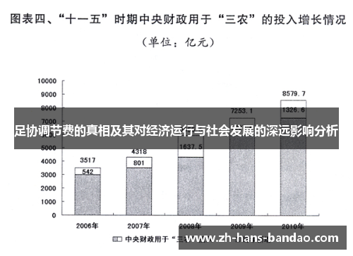 足协调节费的真相及其对经济运行与社会发展的深远影响分析