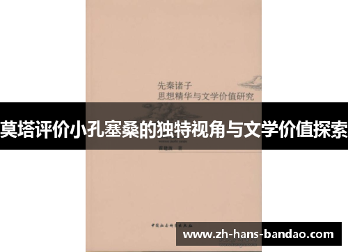 莫塔评价小孔塞桑的独特视角与文学价值探索
