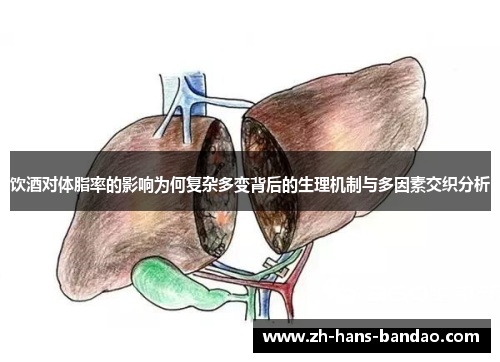 饮酒对体脂率的影响为何复杂多变背后的生理机制与多因素交织分析