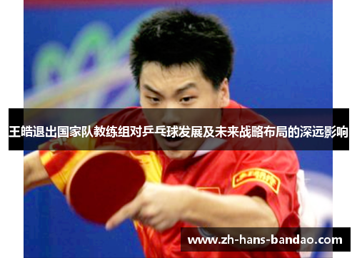 王皓退出国家队教练组对乒乓球发展及未来战略布局的深远影响