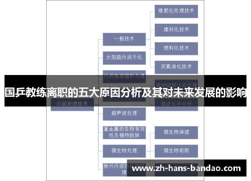 国乒教练离职的五大原因分析及其对未来发展的影响