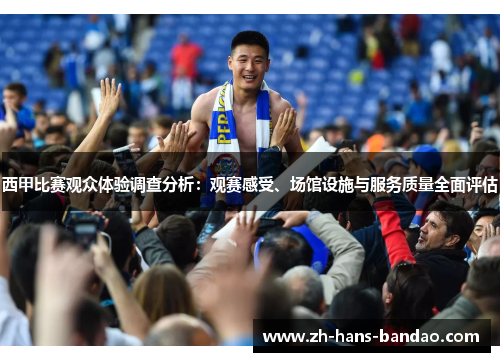 西甲比赛观众体验调查分析：观赛感受、场馆设施与服务质量全面评估