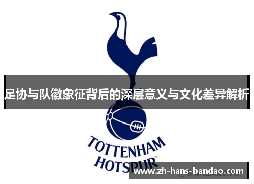 足协与队徽象征背后的深层意义与文化差异解析