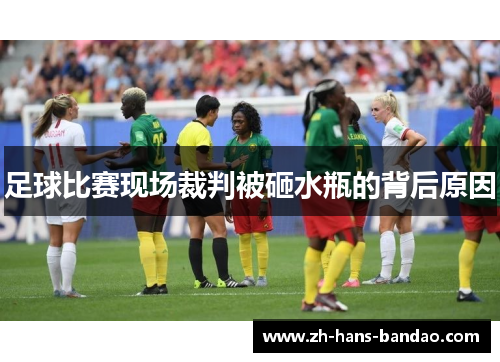 足球比赛现场裁判被砸水瓶的背后原因 足球比赛现场裁判被砸水瓶的背后原因