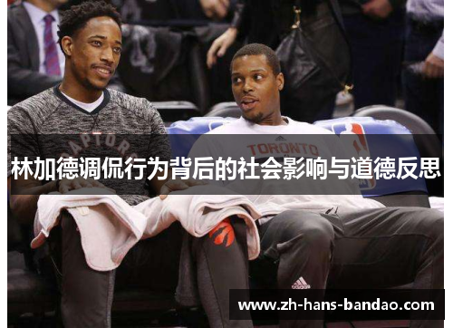 林加德调侃行为背后的社会影响与道德反思 林加德调侃行为背后的社会影响与道德反思